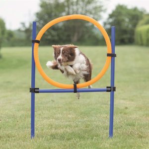 Agility Hoppring 65cm