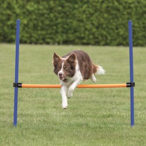 Agility Hopphinder