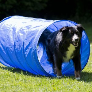 Tunnel för Agility 152x60cm
