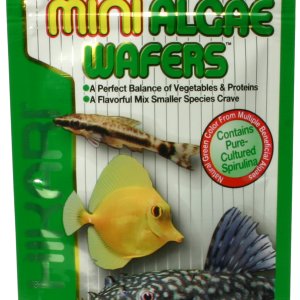 Hikari Mini Algae Wafers 22g