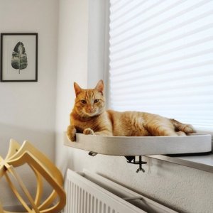 Kyo Fönsterbädd Vit 50cm