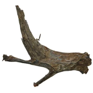 Mangroverot XXL