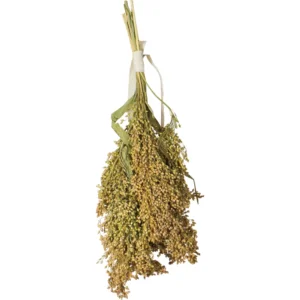 JR Farm Vipphirs 100g